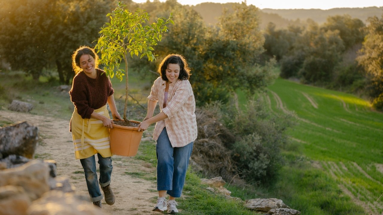 Glimmers Movie Screenshot 4
