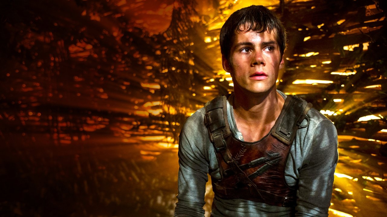 The Maze Runner Movie Screenshot 2