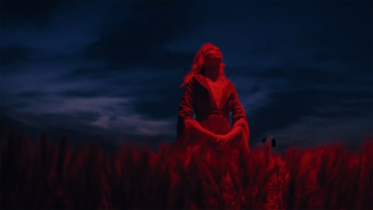 Vinca Vision Movie Screenshot 3