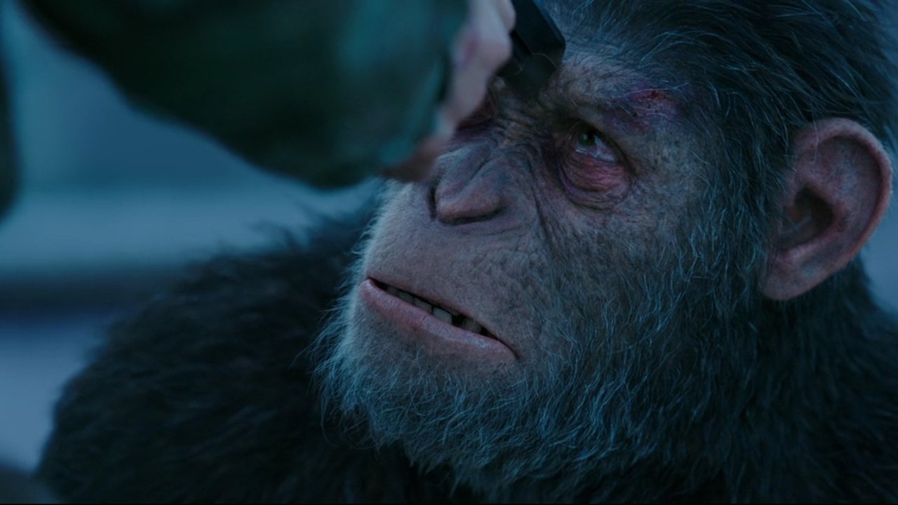 War for the Planet of the Apes Movie Screenshot 3