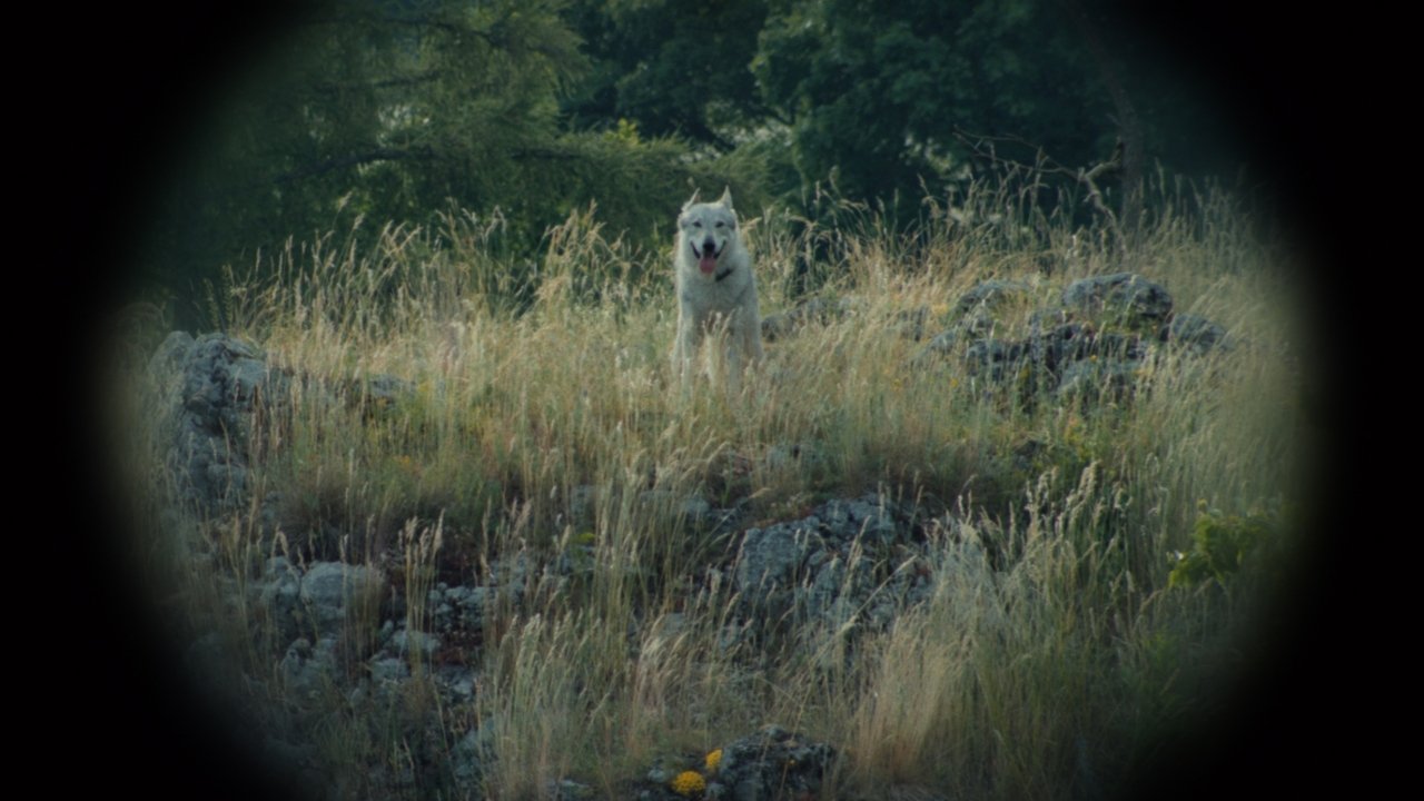 Nebelkind: The End of Silence Movie Screenshot 1