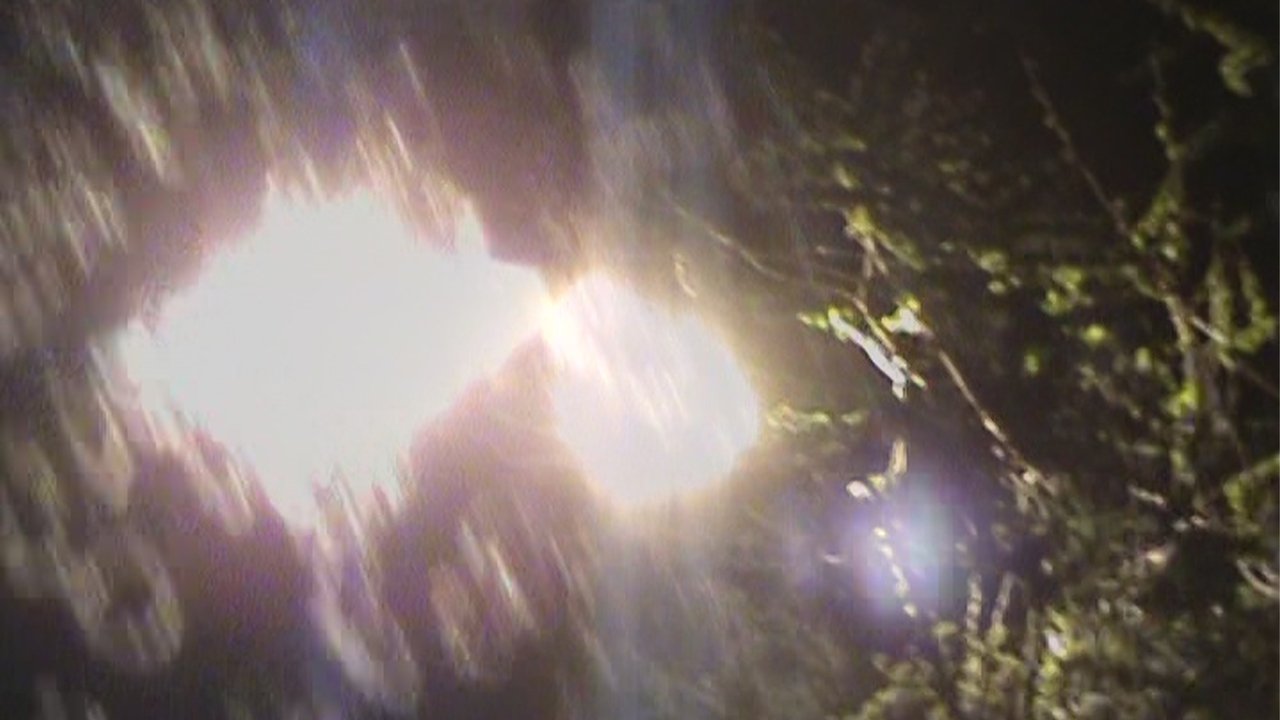 light blossom Movie Screenshot 5