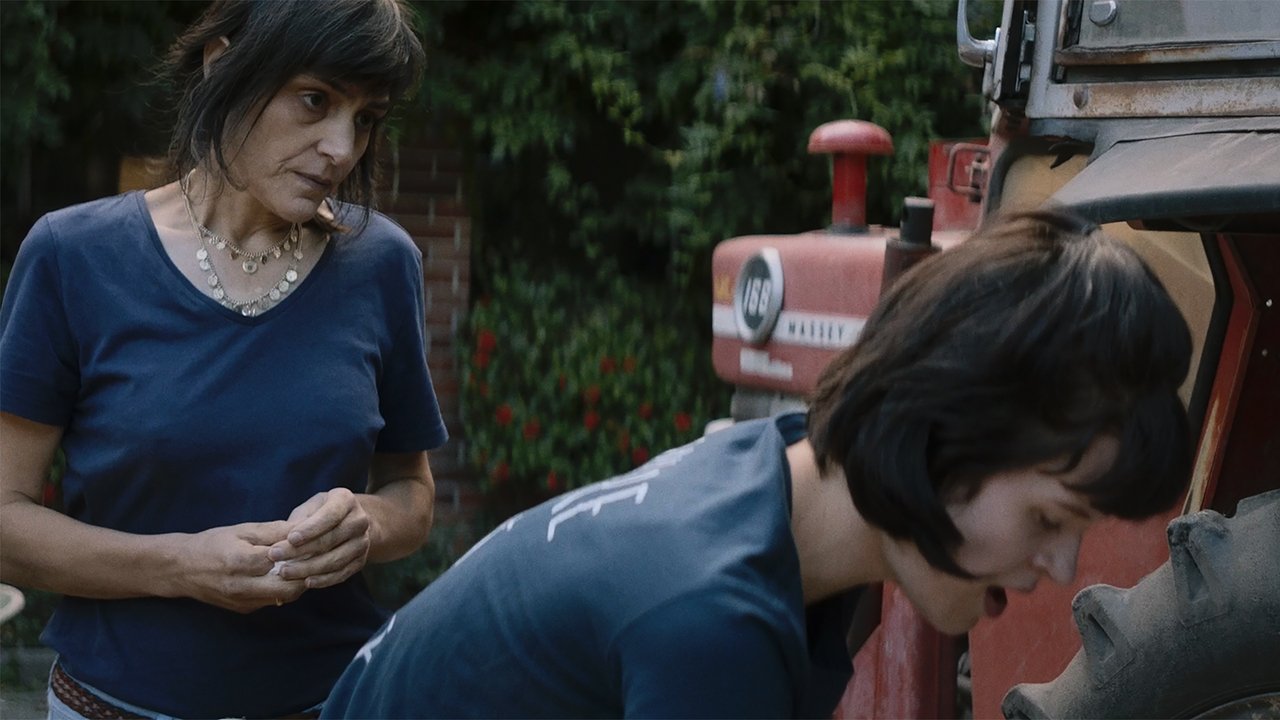 November Fog Movie Screenshot 1