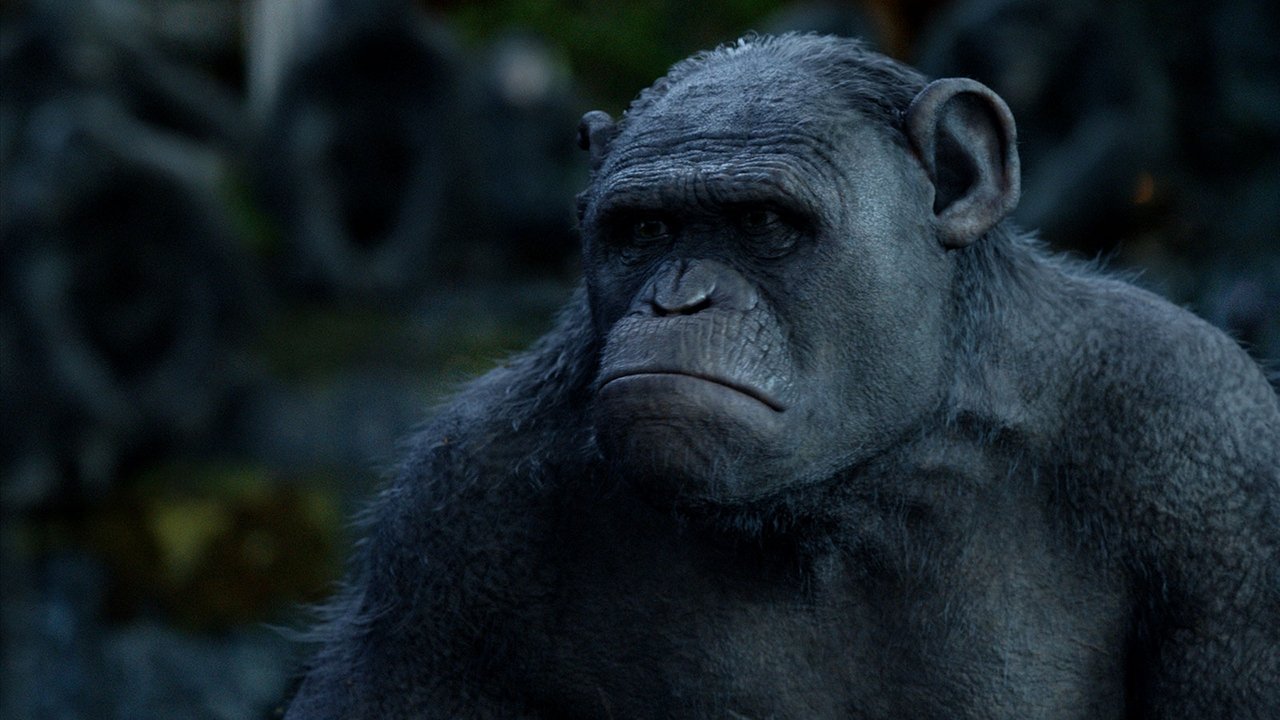 Dawn of the Planet of the Apes Movie Screenshot 3