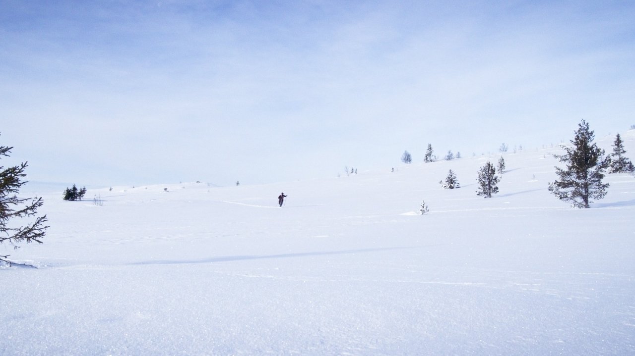 Ulvejakt Movie Screenshot 2