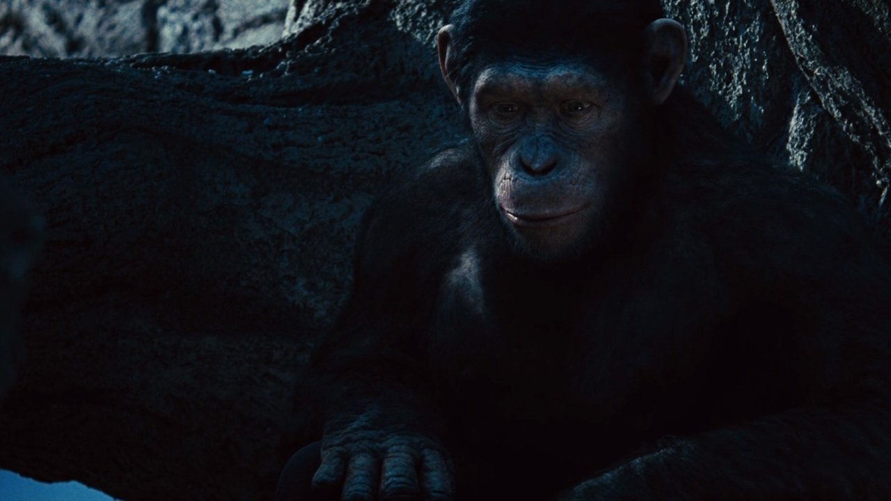 Rise of the Planet of the Apes Movie Screenshot 3