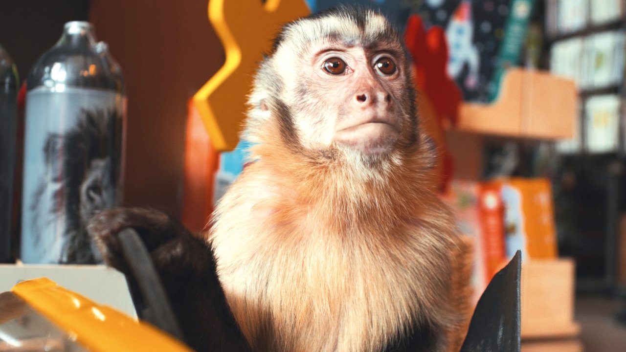 Akiko, the Flying Monkey Movie Screenshot 1