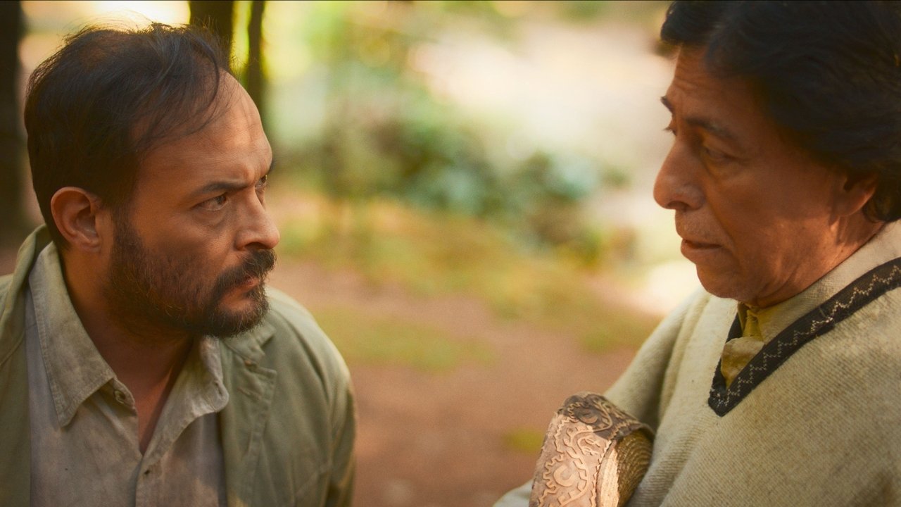 WHAT HIDES WHITIN THE SHADOWS Movie Screenshot 1