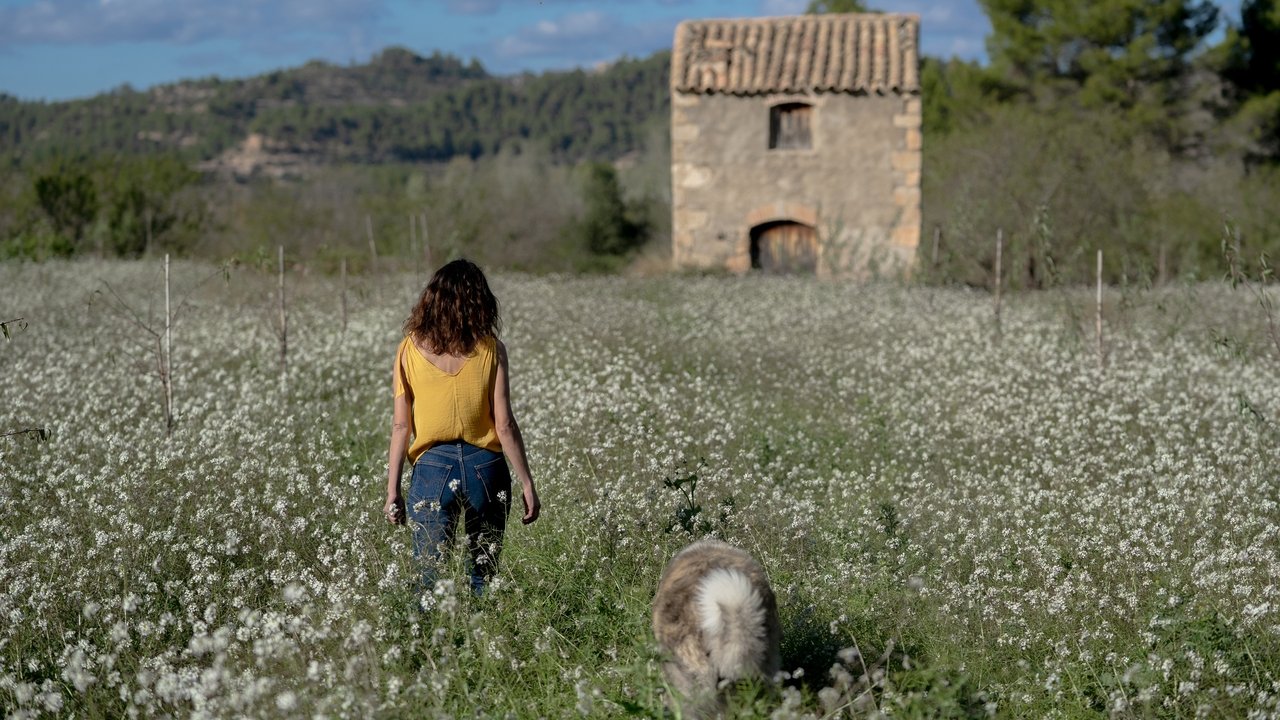 Glimmers Movie Screenshot 2