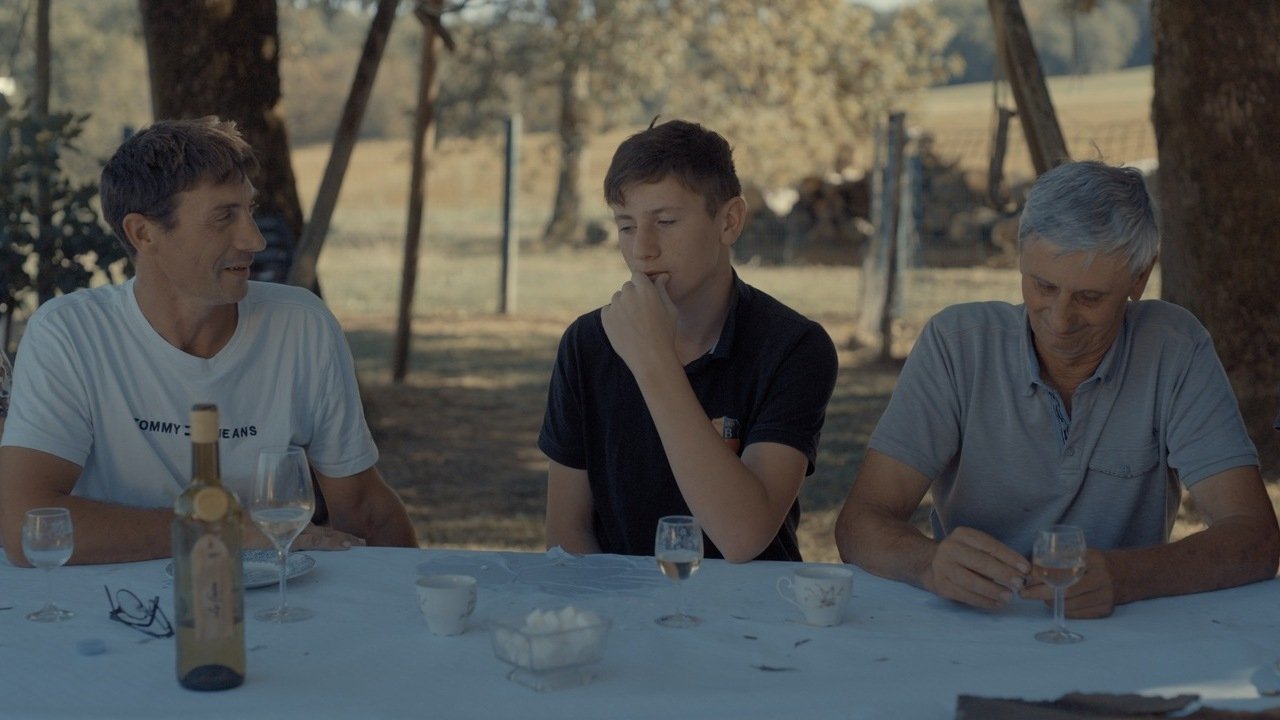 Se souvenir des tournesols Movie Screenshot 3