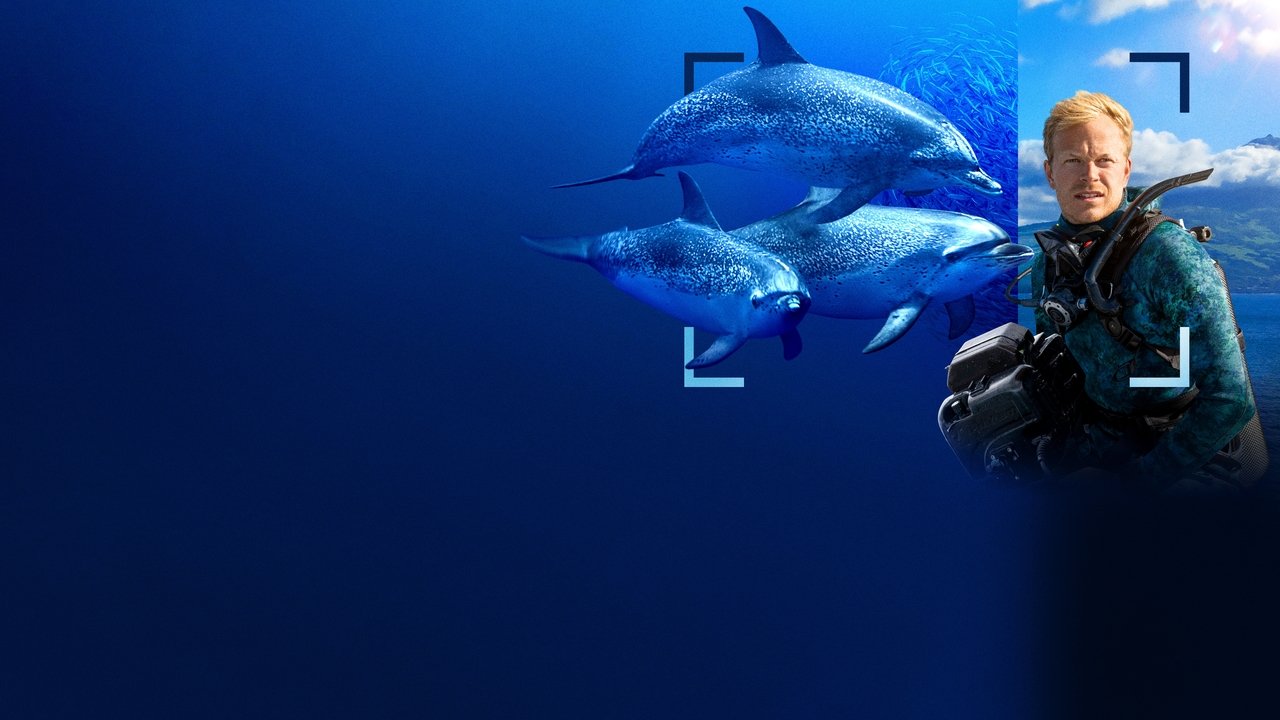 Dolphins Up Close with Bertie Gregory Movie Screenshot 5