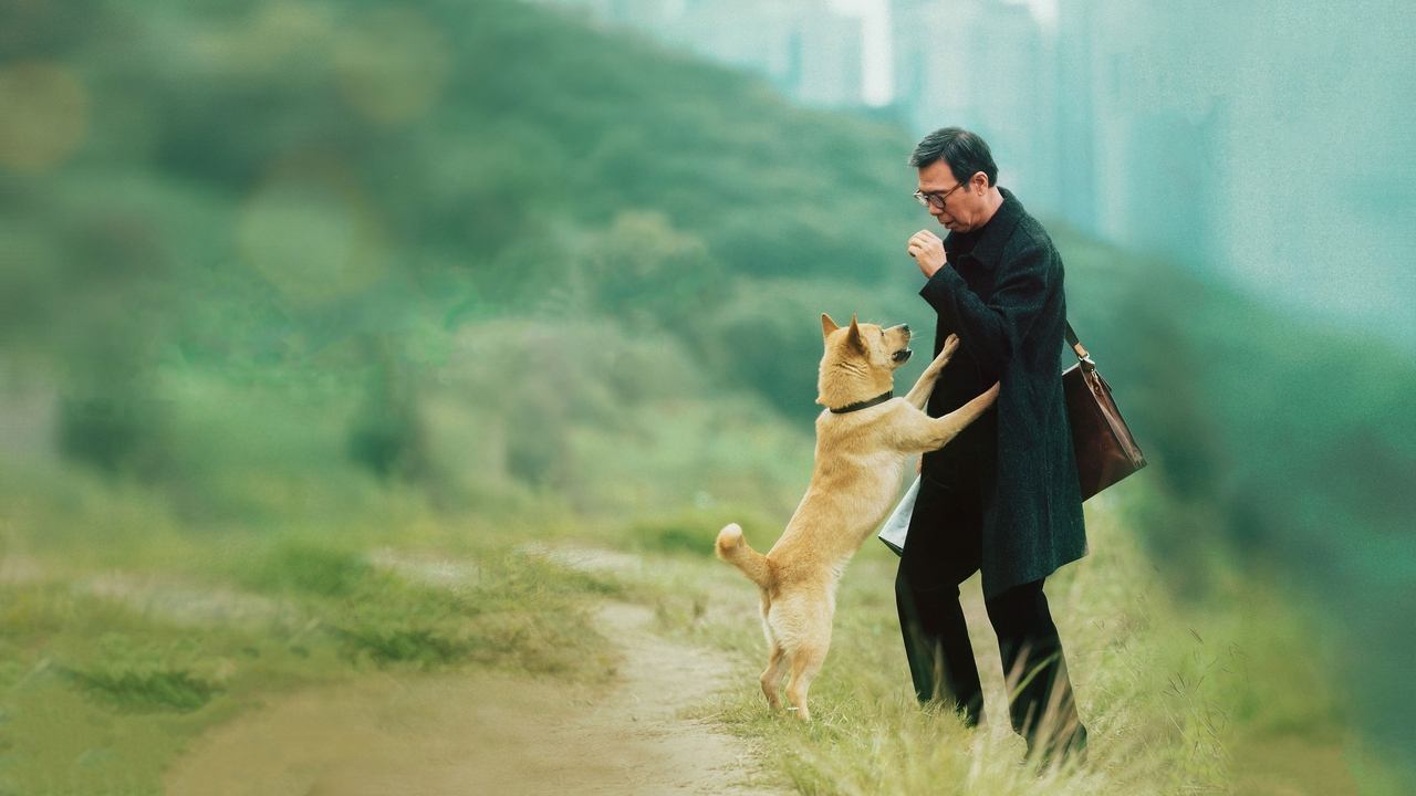 Hachiko Movie Screenshot 1